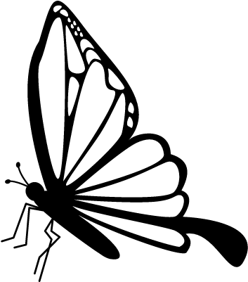 Butterfly Side View Vector - Butterfly Side View Drawing (400x400), Png Download