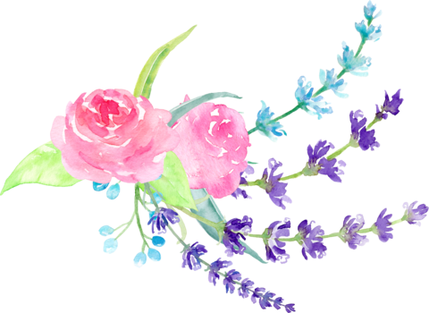 In Addition To Our Farm Crops We Develop Unique And - Delphinium (480x350), Png Download