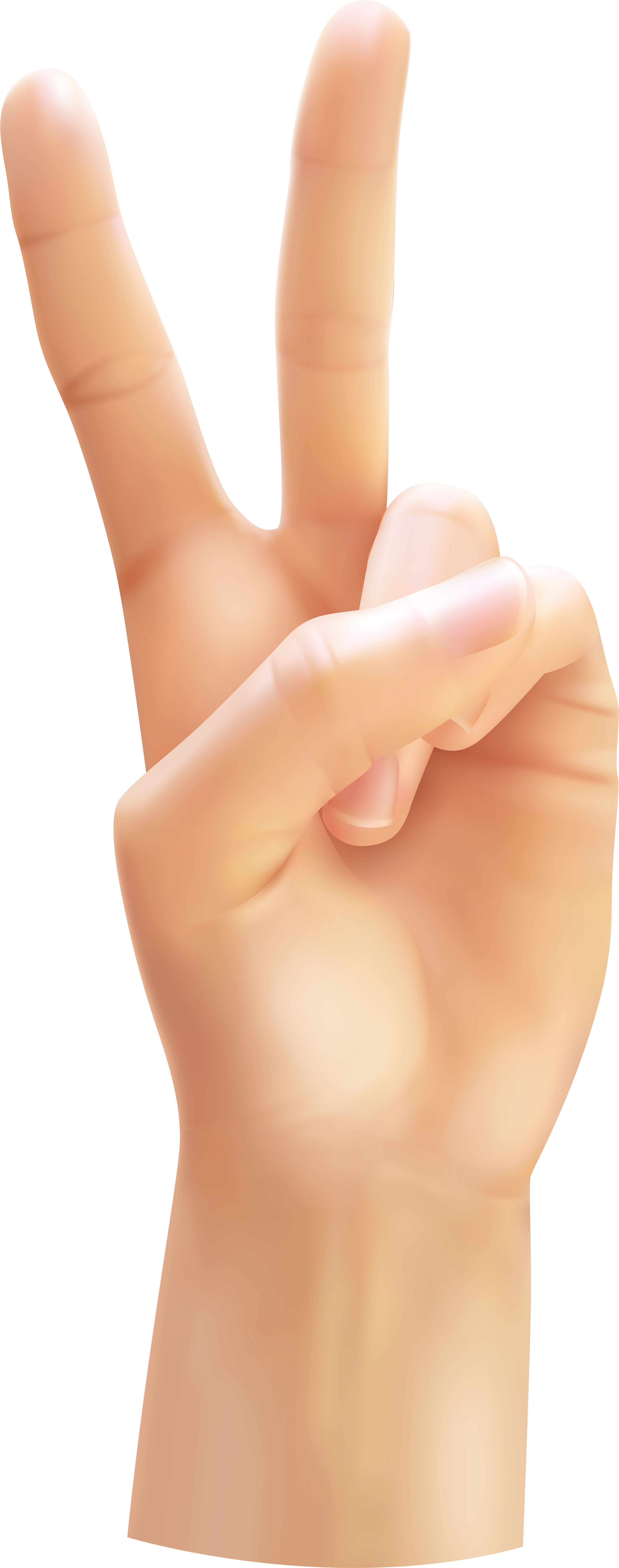 Hands Victory Png (3300x8000), Png Download