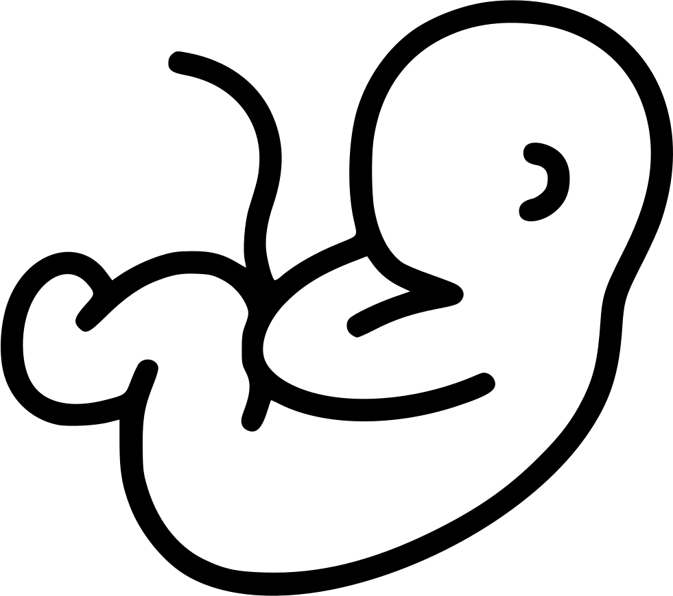 Embryo Fetus Pregnancy Pregnant Motherhood Comments - Pregnant Png Icon (981x870), Png Download
