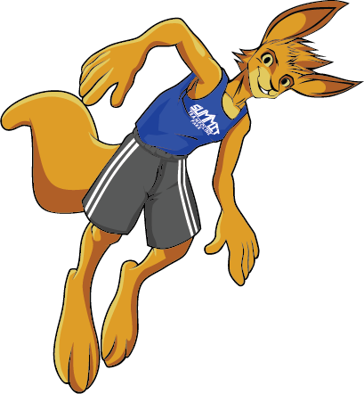 Summit Trampoline Park Png (409x442), Png Download