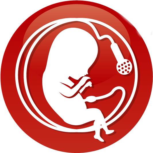 Violinist Analogy (551x537), Png Download