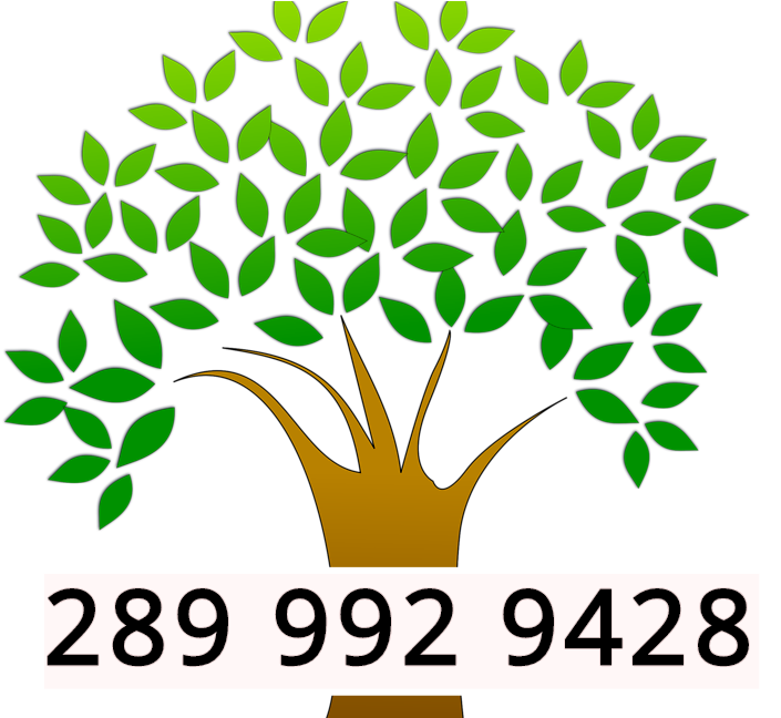 20% Off Tree Removal - Tree Logo Vector Png (862x647), Png Download