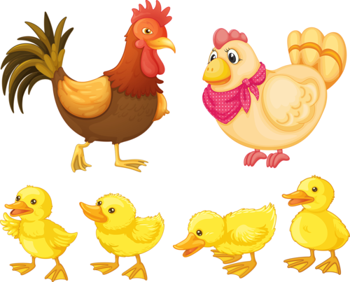 Free Images To Sew Hens Or Roosters - Chicken Clipart (500x403), Png Download