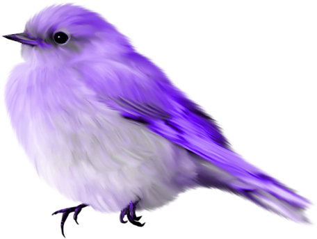 Album - Blue Bird Gif Transparent (500x500), Png Download