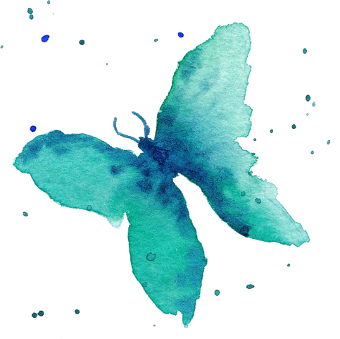 Categories - Papilio (483x481), Png Download