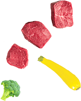 Darwin's Pet Food - Corned Beef (348x390), Png Download