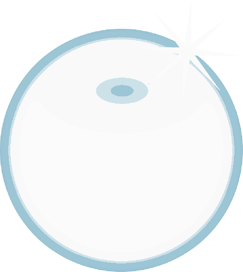 Mb Image/png - Circle (800x895), Png Download