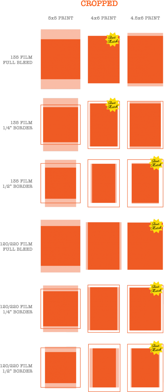 The Below Chart Shows Approximately How Much Of Your - Full-frame Digital Slr (770x1636), Png Download