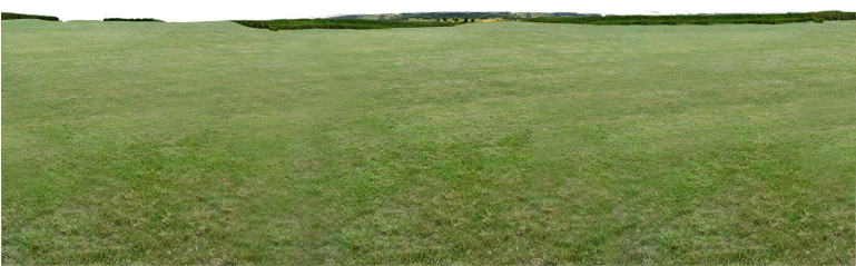 Skybox Ground - Grass (768x262), Png Download