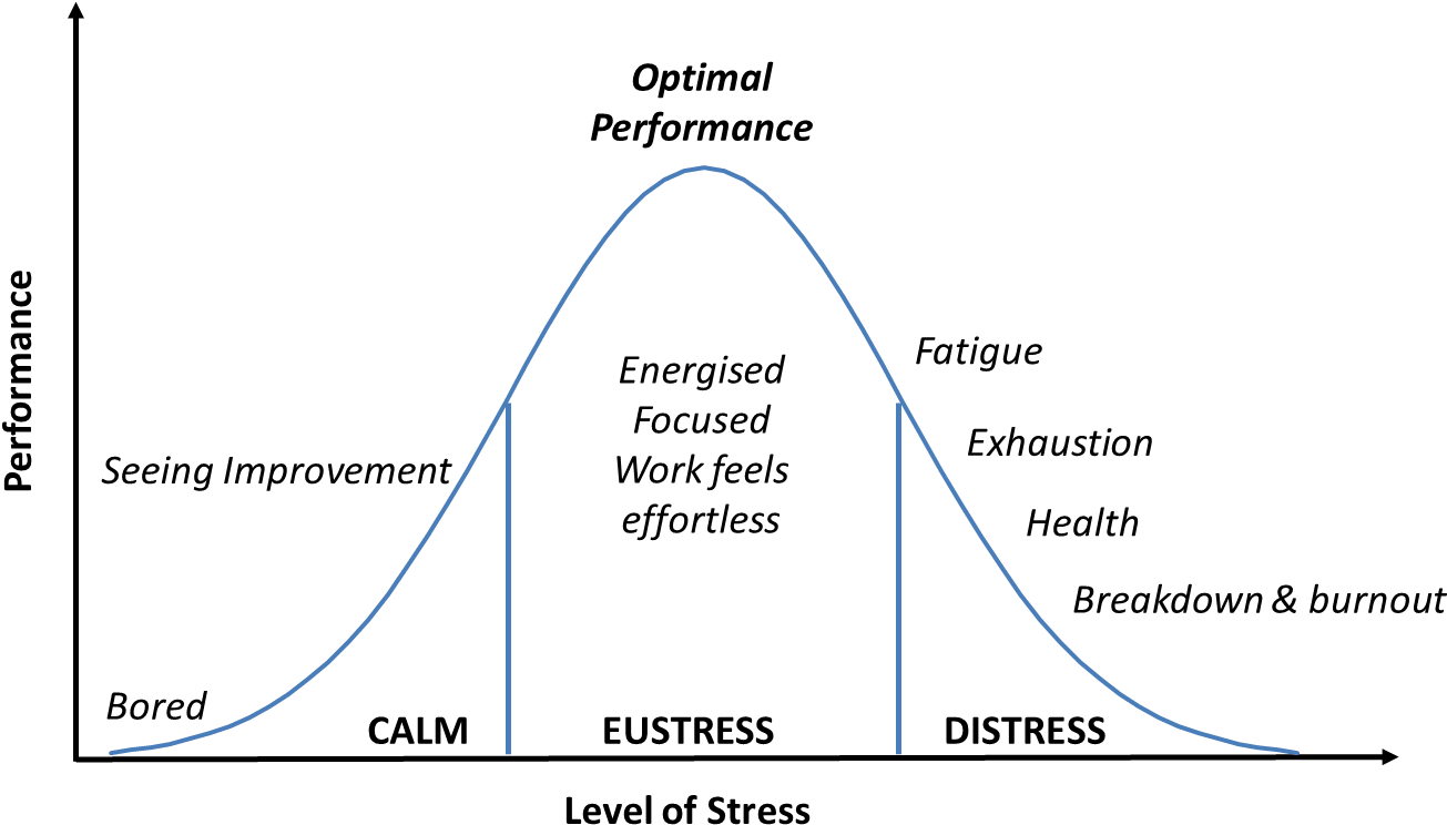 Causes Of Stress In Project Management - Yerkes Dodson Curve Stress (1348x790), Png Download