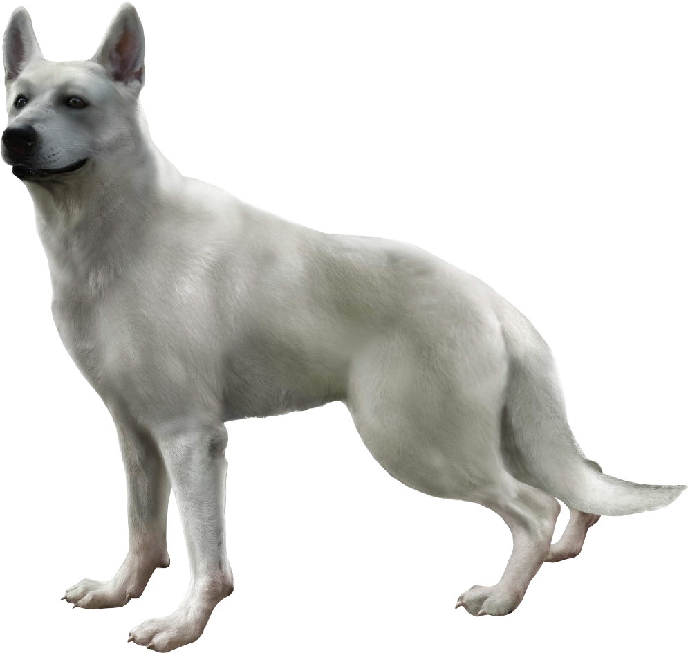 Hewie - Haunting Ground Dog (1024x950), Png Download