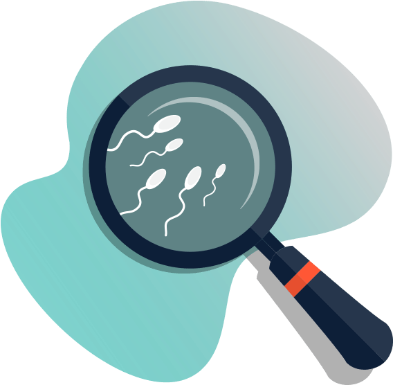 Male Seaman Analysis - Male (576x562), Png Download