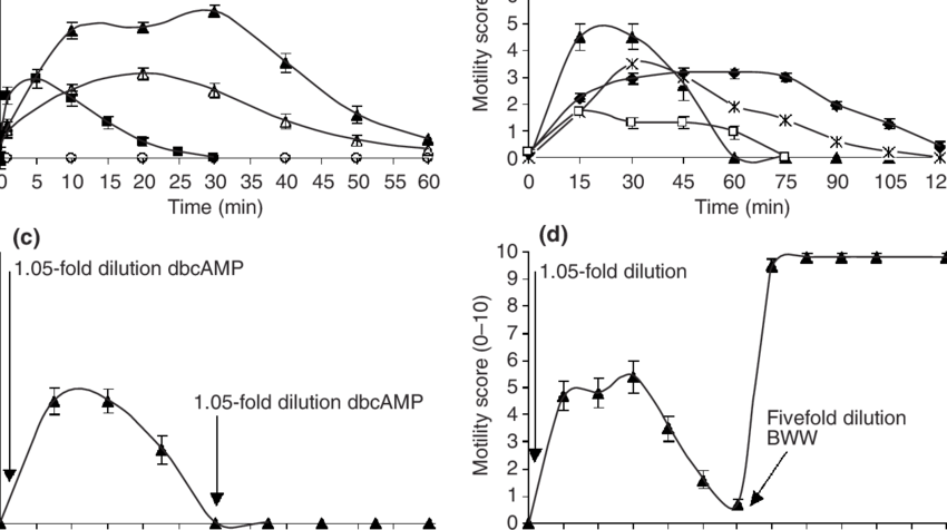 Activation Of Sperm Motility In 1 L Of Semen From The - Semen (850x476), Png Download
