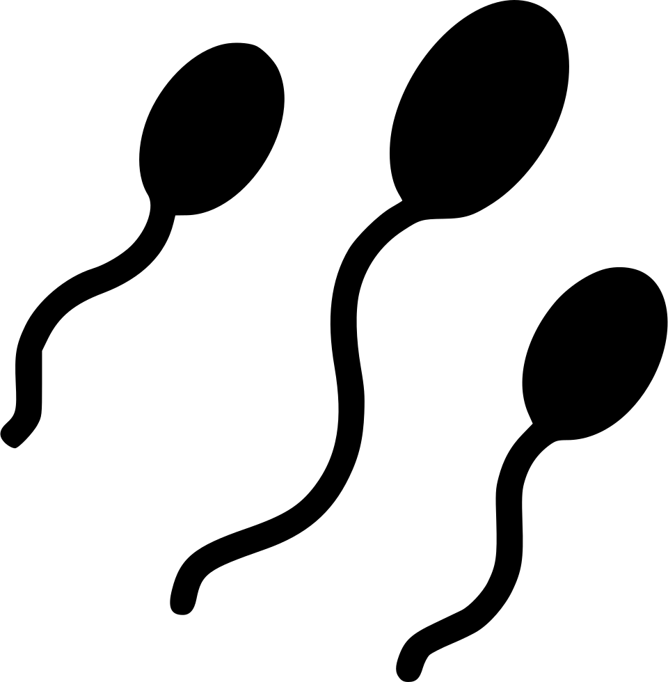 Png File - Sperm (960x980), Png Download