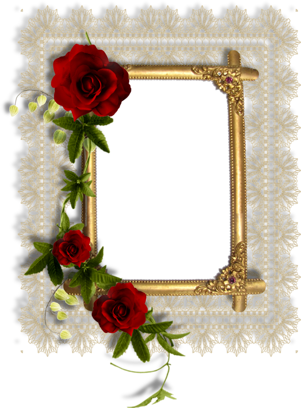 Pin By Искра Райкова On Frames - Pergamino Png Con Rosas (591x800), Png Download