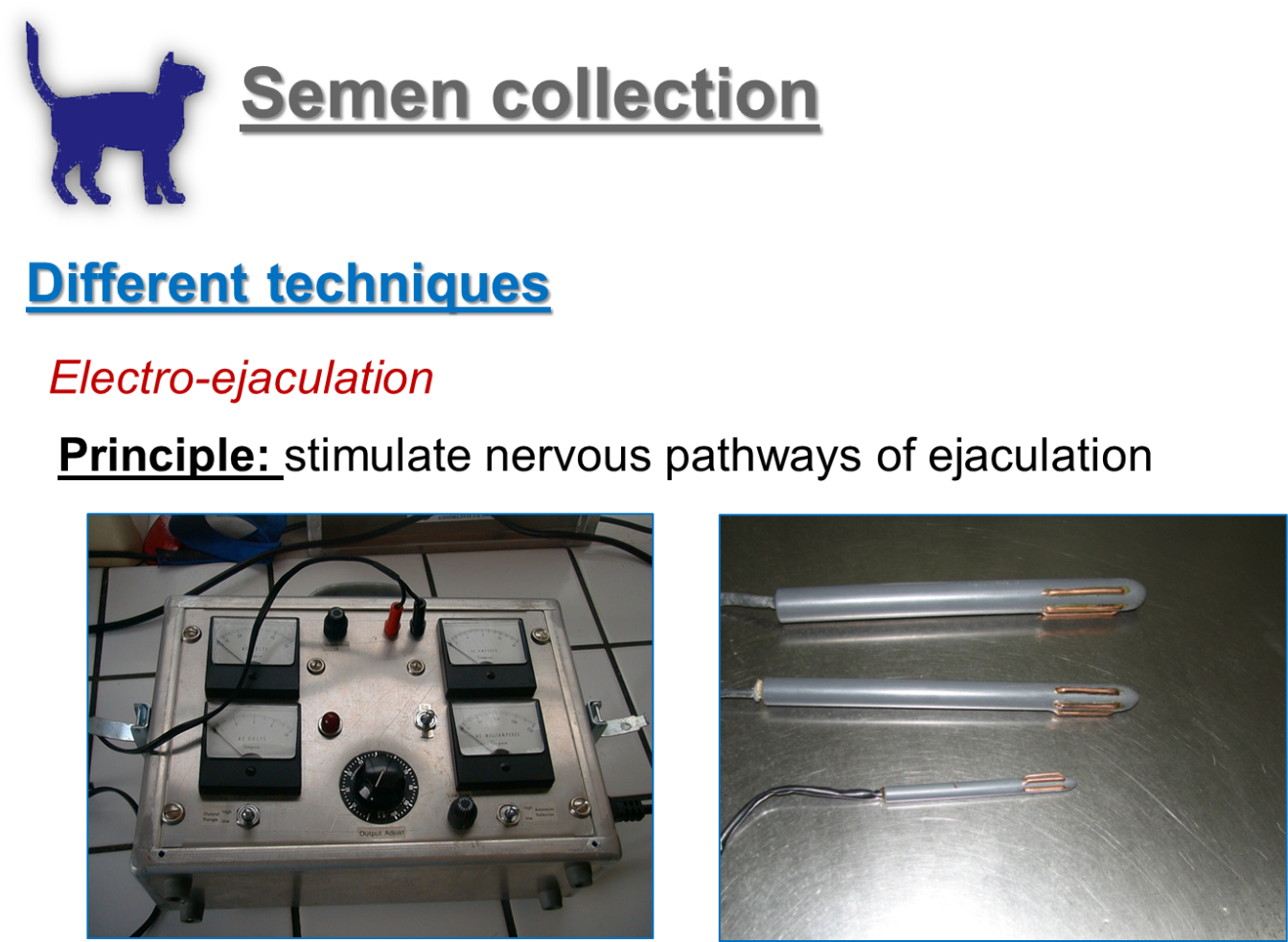 Few Things About The Cat Ejaculate - Machine (1400x997), Png Download