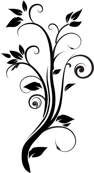 download color rojo az colorare vector graphics png image with no background pngkey com download color rojo az colorare