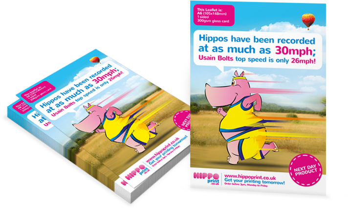 Next Day Leaflets Next Day Leaflets - Leaflet And Flyers Png (750x484), Png Download