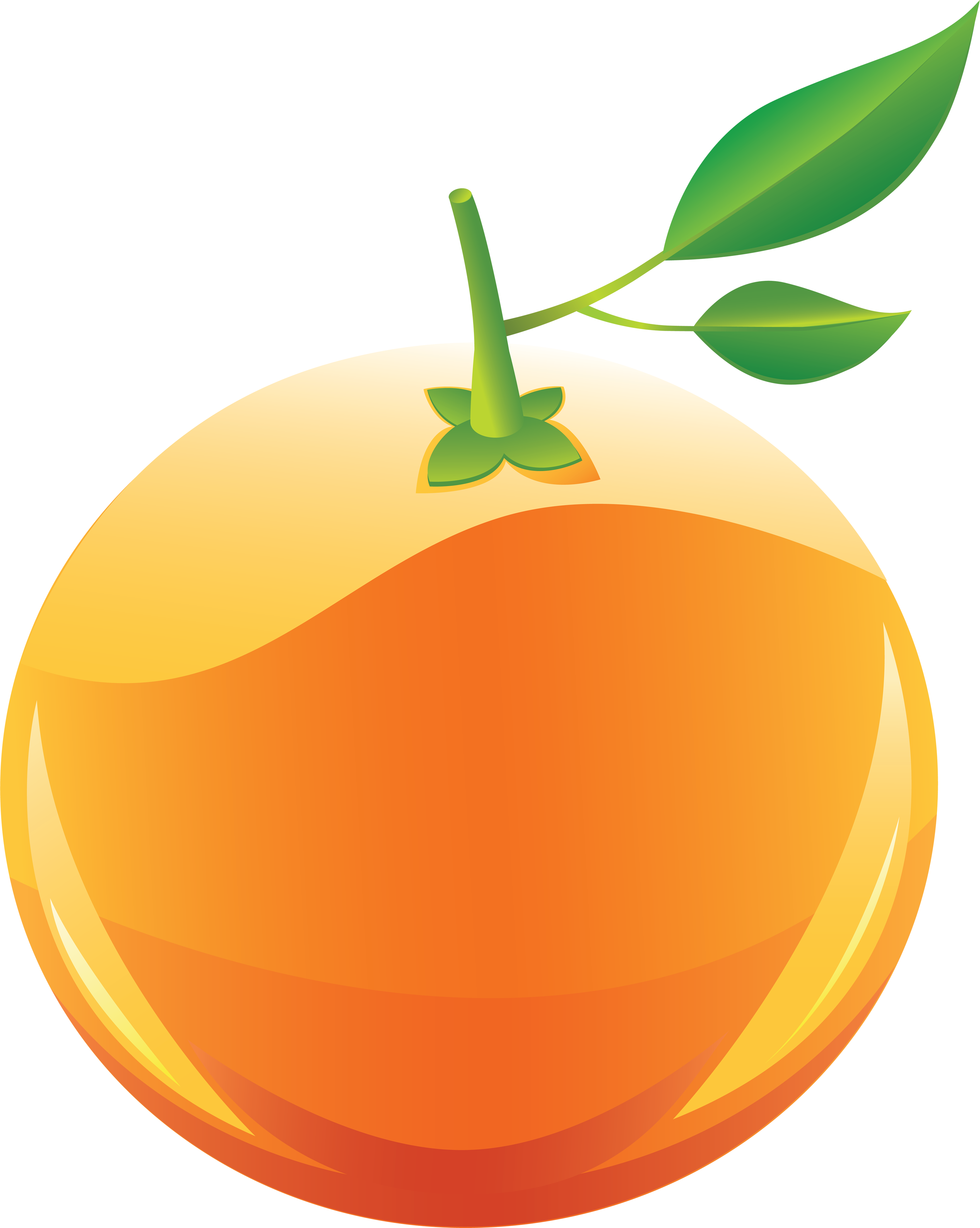 Png Image Purepng Free Transparent Cc Library - Orange Clip Art Png (3009x3769), Png Download