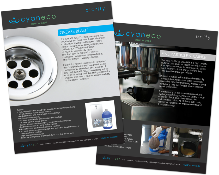 Cyaneco Flyers (1000x903), Png Download