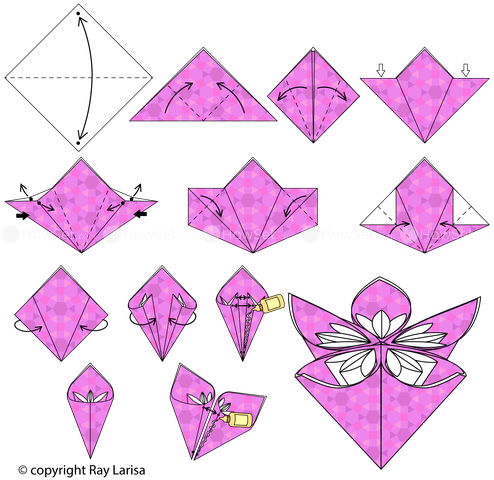 How To Fold Origami Flowers Origami Flowers Step Step - Make Origami Flowers Step By Step Instructions (500x500), Png Download