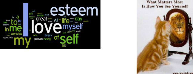 Perception Versus Reality (647x250), Png Download