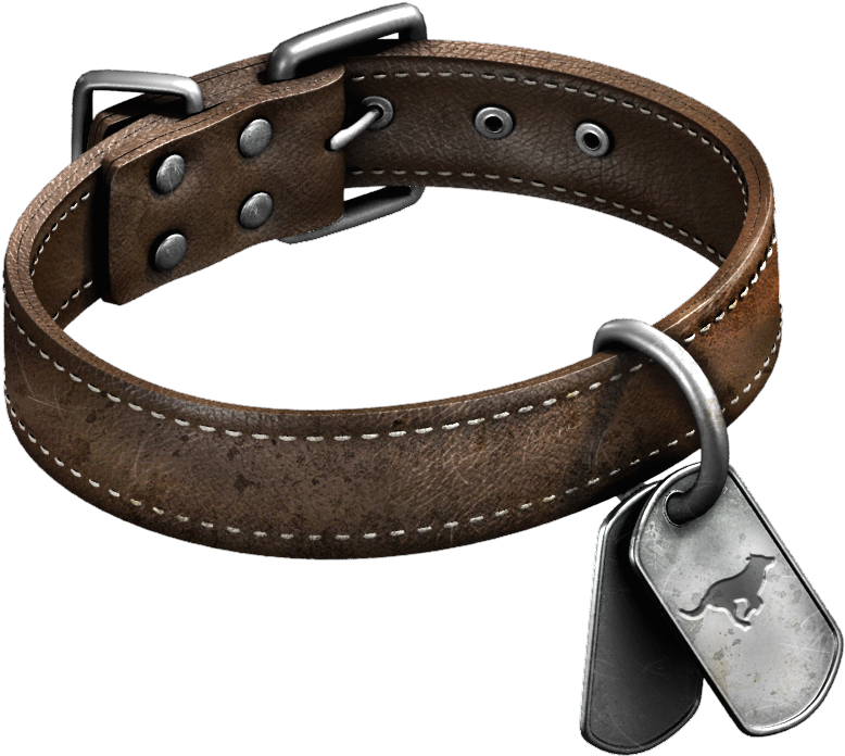 Dogtags-largepic - Strap (828x720), Png Download