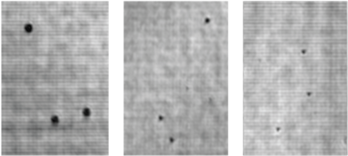 Holographic Reconstruction Of 40µm , 20µm (middle) - Monochrome (593x313), Png Download