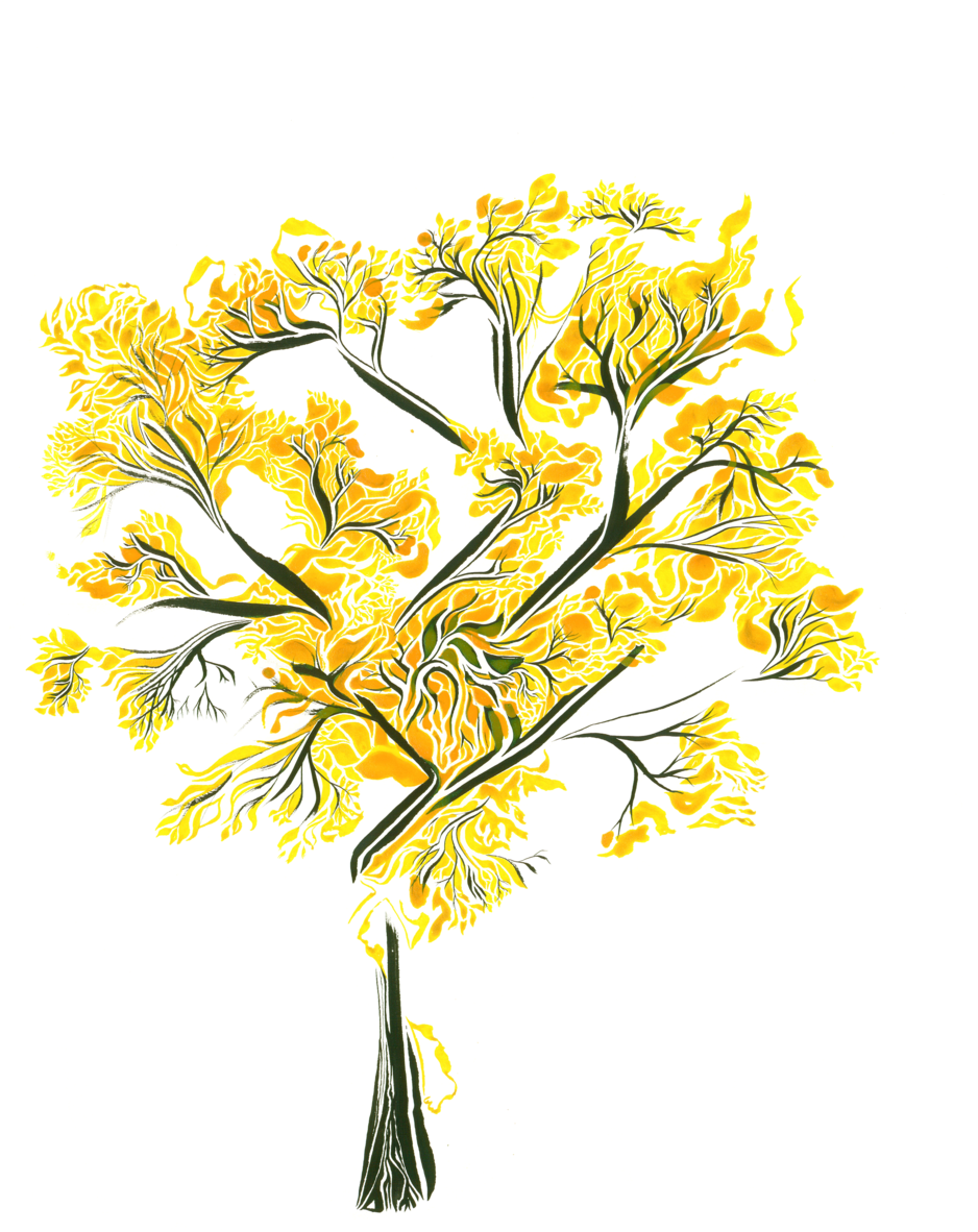 Matter And Energy Share A Relationship Via Charged - Matter (1000x1200), Png Download