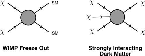 Two Ways For A New Particle, X, To Produce The Observed - Dark Matter Self Annihilation (600x300), Png Download