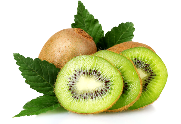 Bienvenidos - Kiwi Transparent (600x426), Png Download