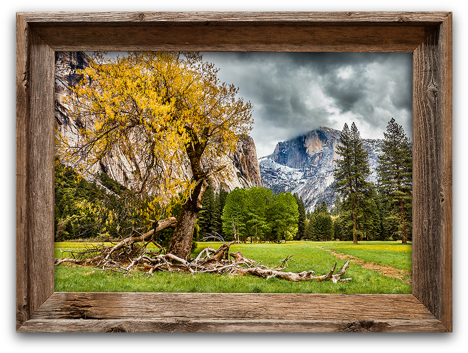 Half Dome Meadow, Yosemite Canvas Print In Barnwood (1000x754), Png Download