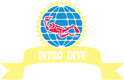 Bautizo De Submarinismo - Padi Scuba Review (446x333), Png Download