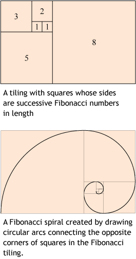 Golden Ratio In Logo Designs - Golden Ratio (265x505), Png Download