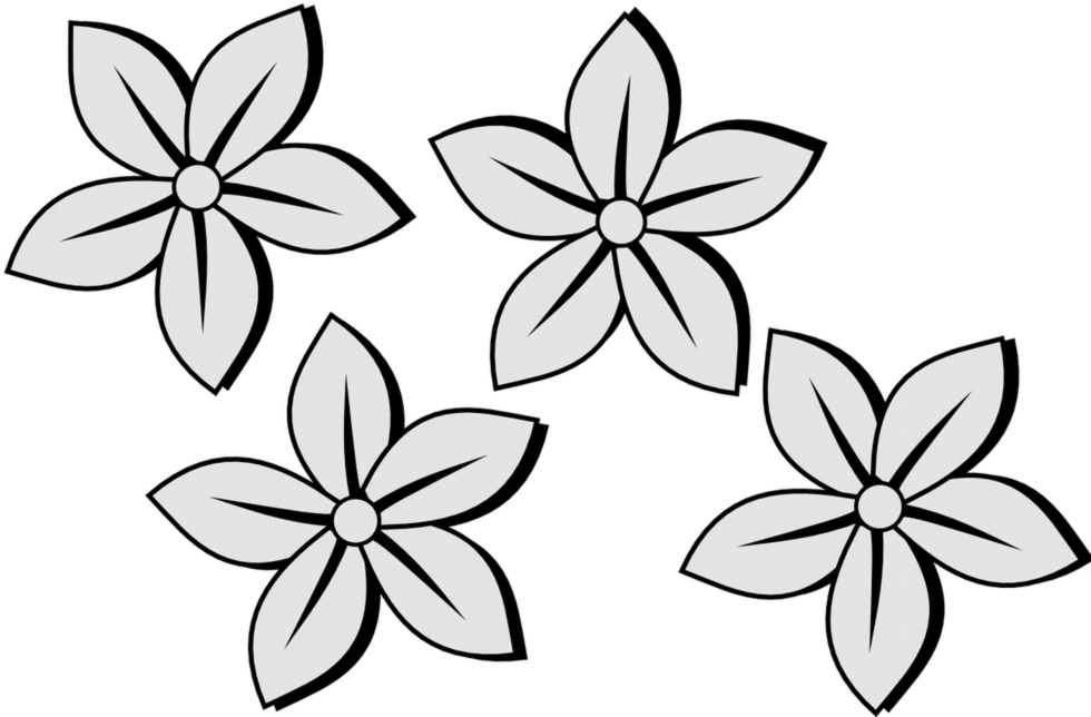 990x652wesome Image Of Flower To Draw How To Draw Flower - Black And White Clip Art Flowers (990x652), Png Download