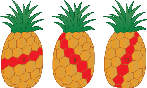 Fibonacci Numbers In Pineapples - Pineapple Fibonacci (503x300), Png Download
