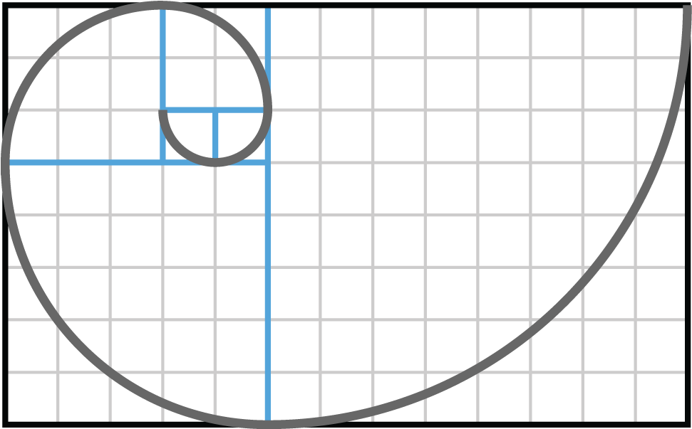This Shape Is Called The Fibonacci Spiral And Approximates - Circle ...