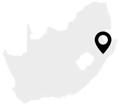 Kwazulu Natal - Kwazulu-natal (410x483), Png Download