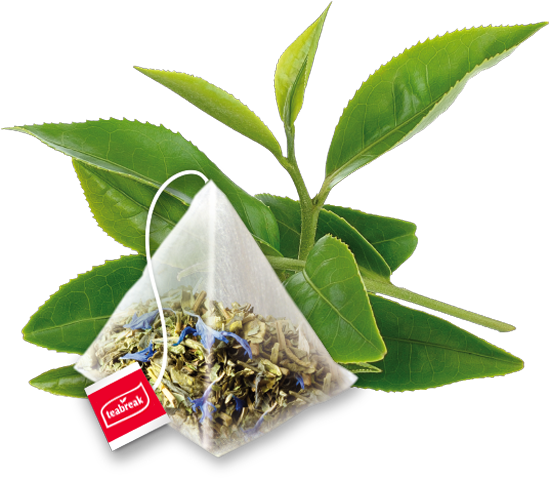 As The Pyramids Have Ample Space Inside Them And Are - Tea Coffee Cup Png (550x478), Png Download