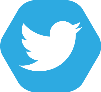 10 Apr 2015 - Twitter Icon Png (384x384), Png Download
