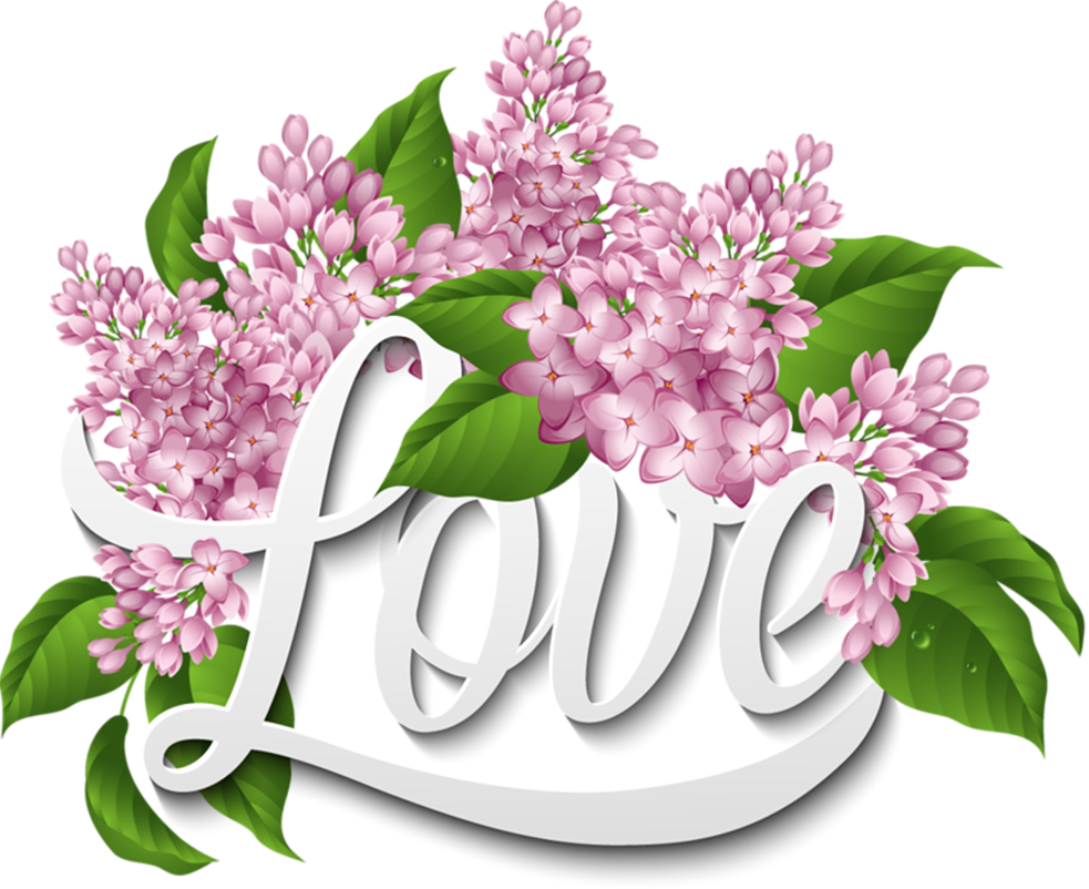 More Information - Vector Graphics (983x802), Png Download