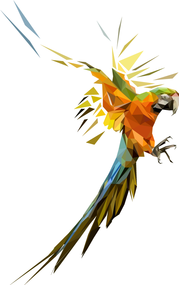 Low Poly Parrot Shower Curtain (1000x1000), Png Download