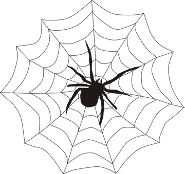 Spider Spider's Web Spiderweb Cobweb Creep - Spider On A Web (360x340), Png Download