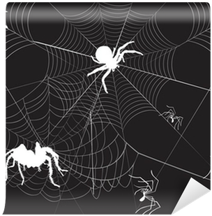 Spider (400x400), Png Download