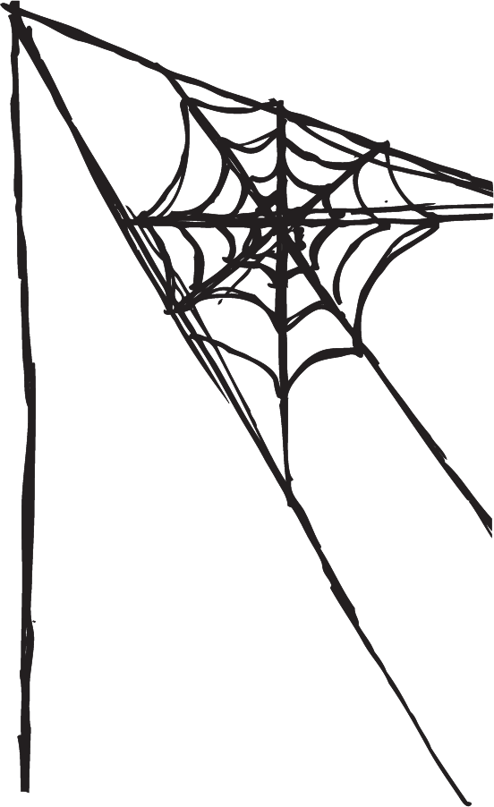 King Bruce And The Spider - Drawing (552x902), Png Download