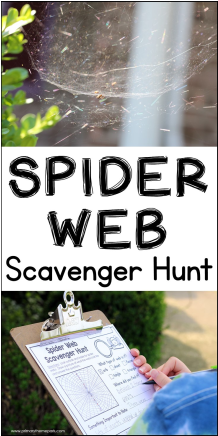 Spider Web Scavenger Hunt - Spider Web (665x435), Png Download