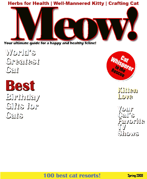 Cat Magazine Cover Template (480x600), Png Download