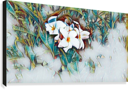 Greek Temples In Sicily Canvas Print - Giant White Arum Lily (429x303), Png Download