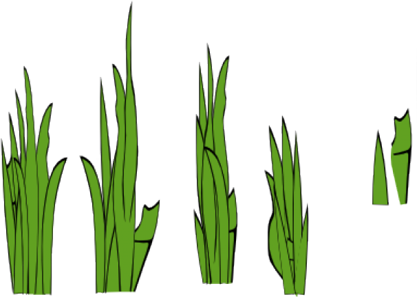 Grass Clip Art (640x480), Png Download